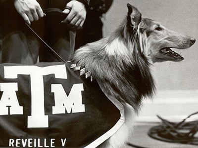 Reveille 5