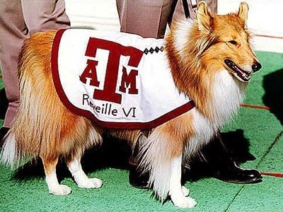 Reveille 6